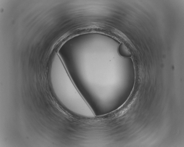 X0000075860826200609150953