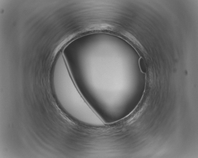 X0000075860834200609150953