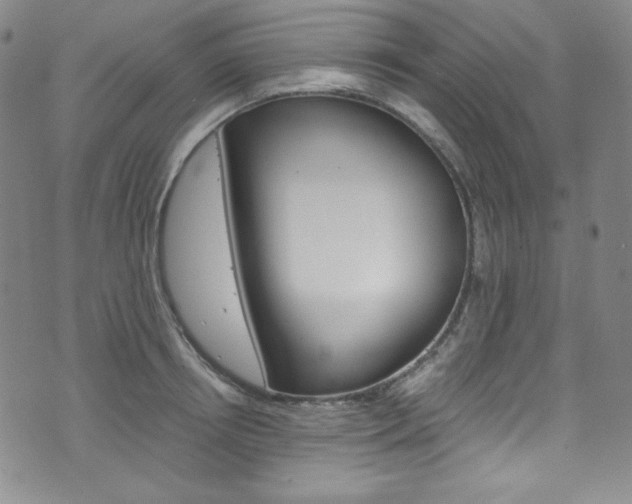 X0000075860850200609150953