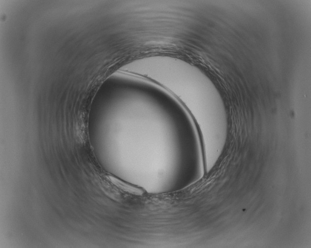 X0000075860868200609150953