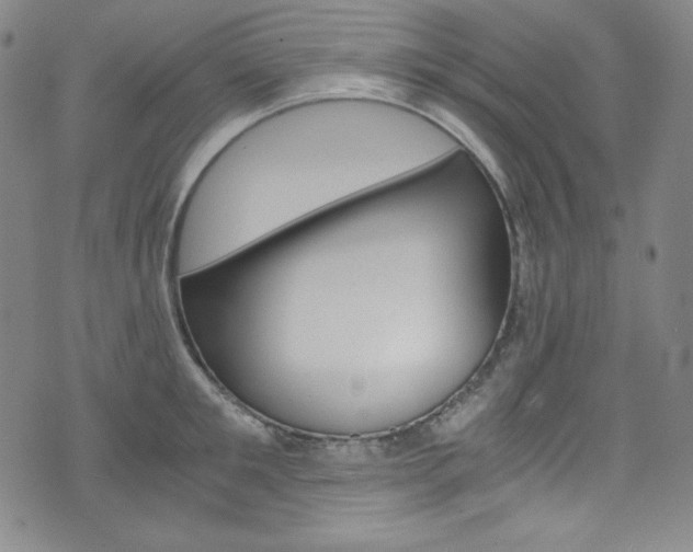 X0000075860901200609150952
