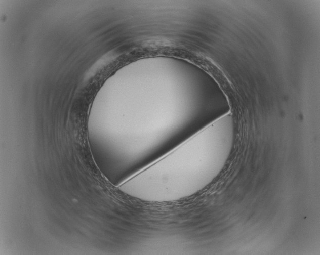 X0000075860919200609150951