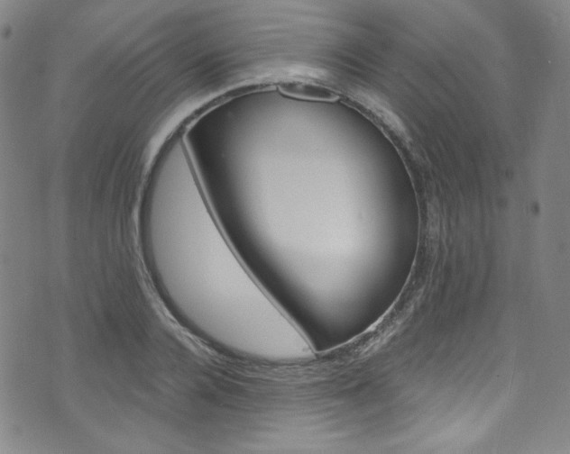 X0000075860936200609150952