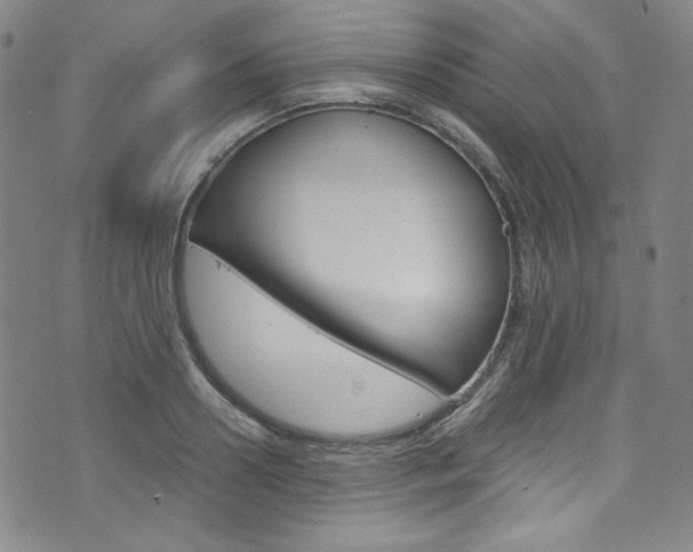 X0000075860938200609150952