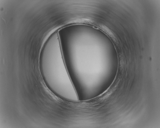 X0000075860940200609150952