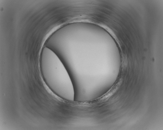 X0000075860957200609150952