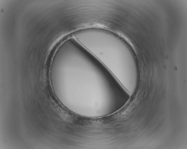 X0000075860975200609150951