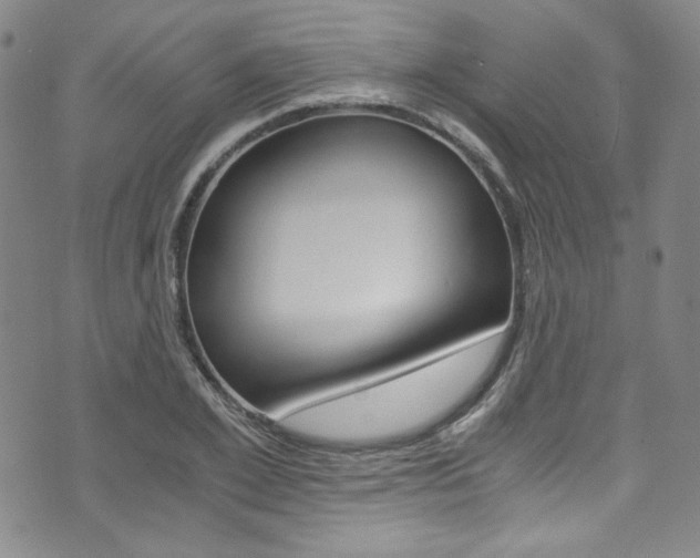 X0000075860981200609150951