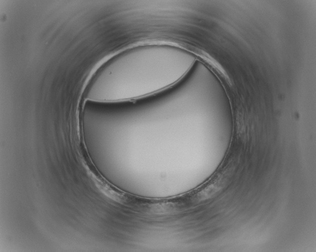 X0000075860988200609150951