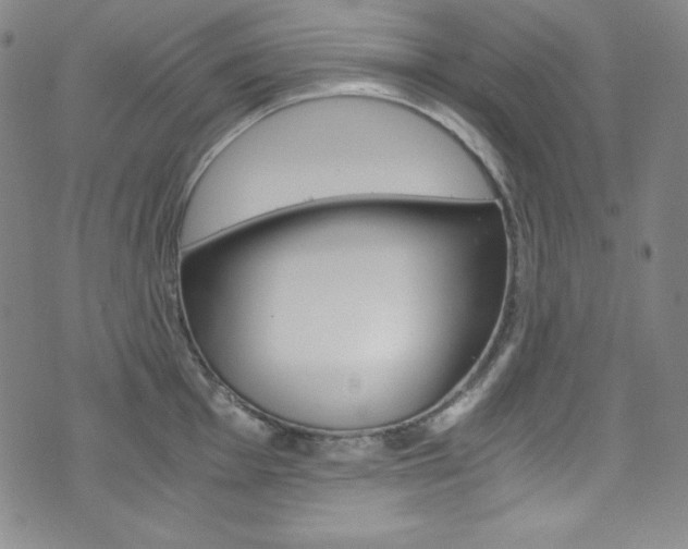 X0000075861001200609150951