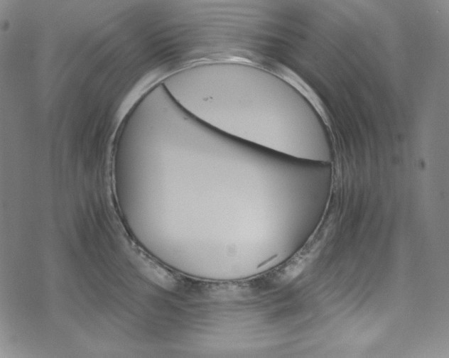 X0000075861002200609150951