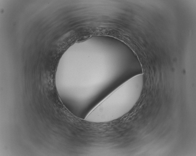 X0000075861013200609150950