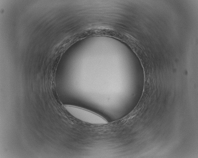 X0000075861014200609150950