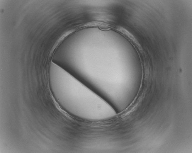 X0000075861049200609150950