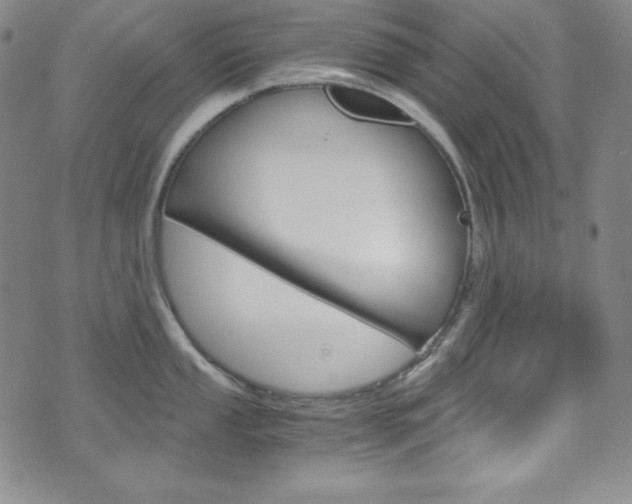 X0000075861053200609150951