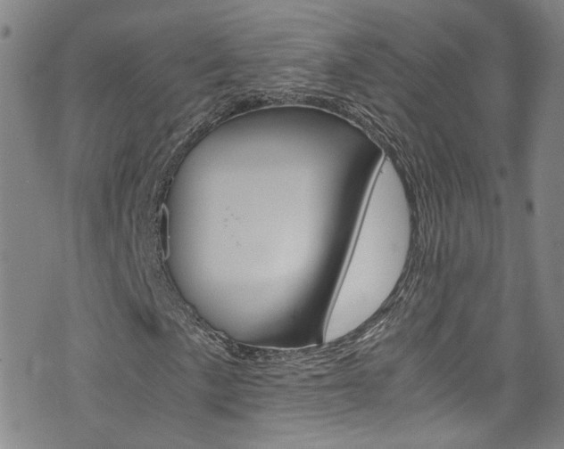X0000075861057200609150950