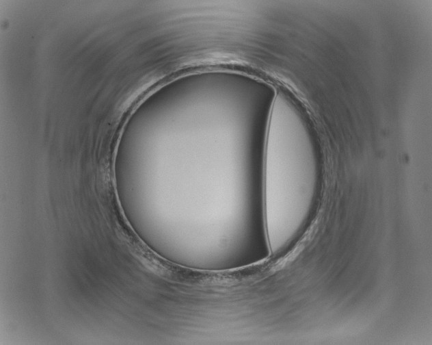 X0000075861073200609150950