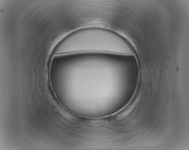 X0000075861077200609150949