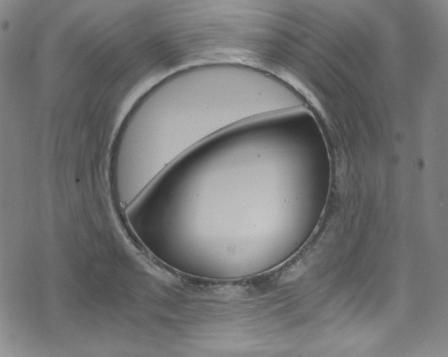 X0000075861085200609150949