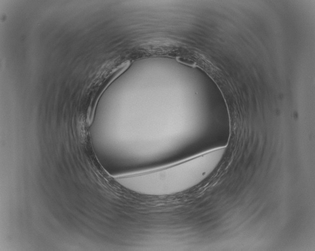 X0000075861108200609150948