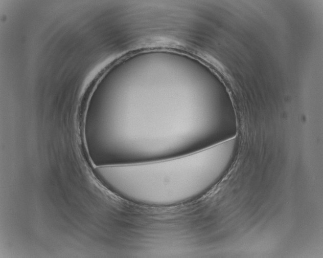 X0000075861120200609150949