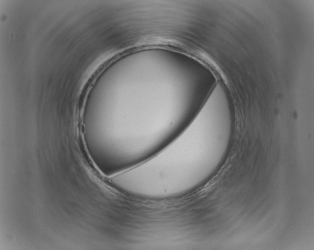 X0000075861124200609150949