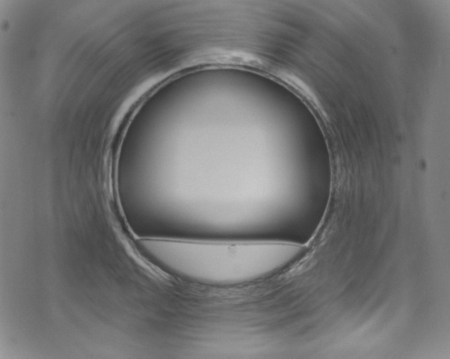 X0000075861128200609150949