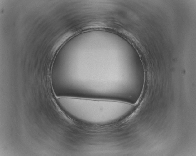 X0000075861129200609150949