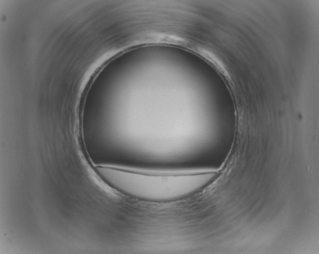 X0000075861136200609150949