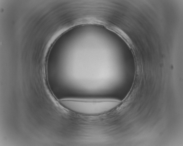 X0000075861144200609150949