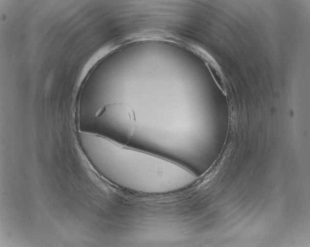 X0000075861146200609150949