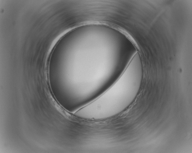 X0000075861148200609150949