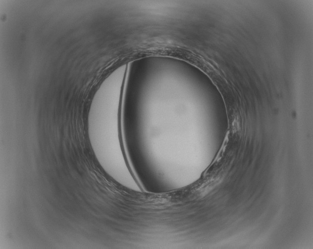 X0000075861156200609150948