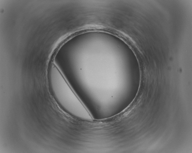X0000075861168200609150948