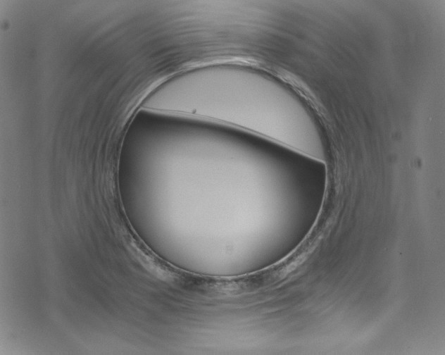X0000075861177200609150948