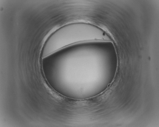 X0000075861181200609150948