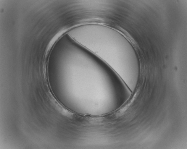 X0000075861196200609150948