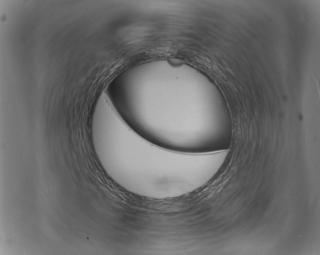 X0000075861201200609150947