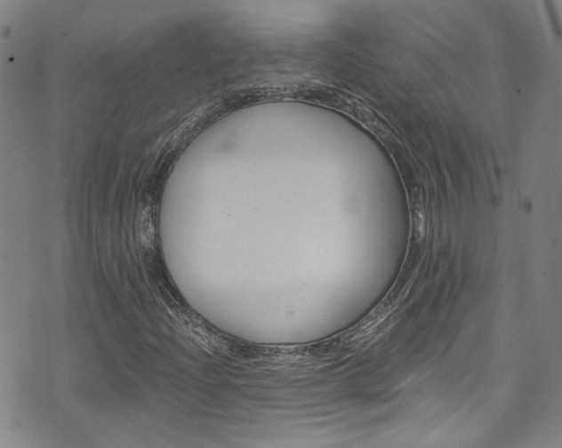 X0000075861204200609150947