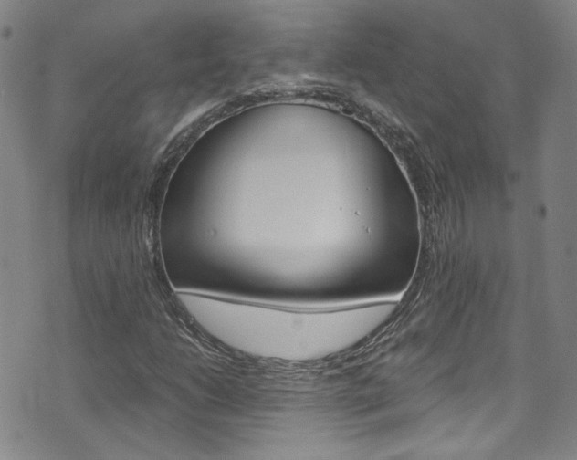 X0000075861206200609150947