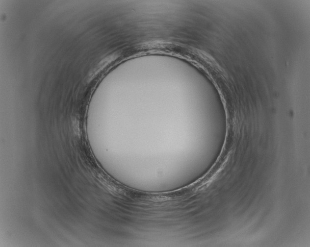X0000075861209200609150947