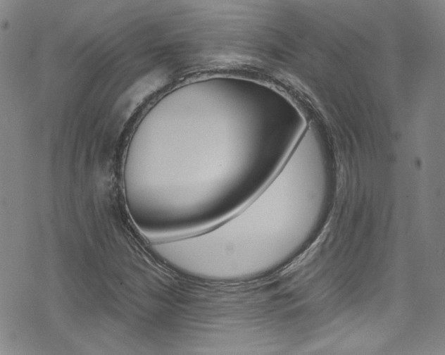 X0000075861210200609150947
