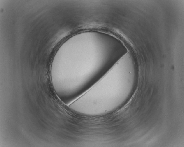 X0000075861213200609150947