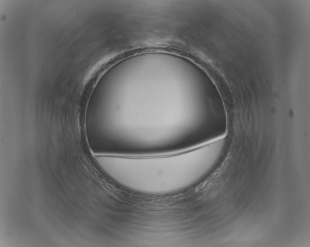 X0000075861214200609150947