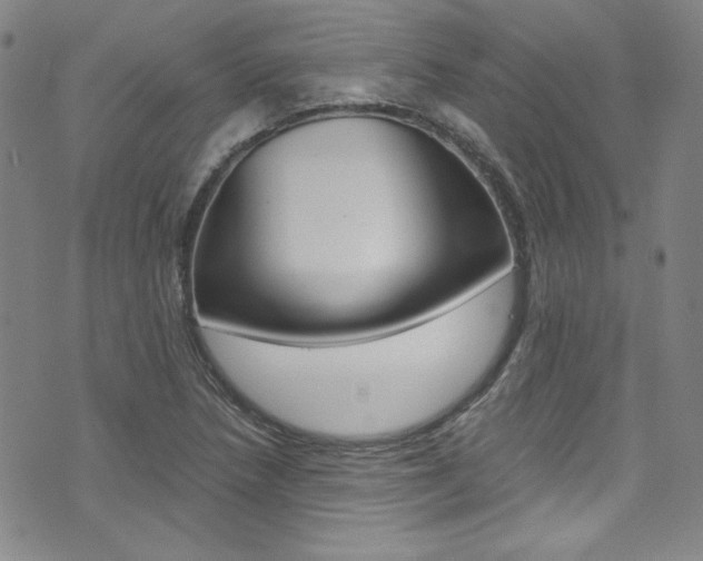 X0000075861218200609150947