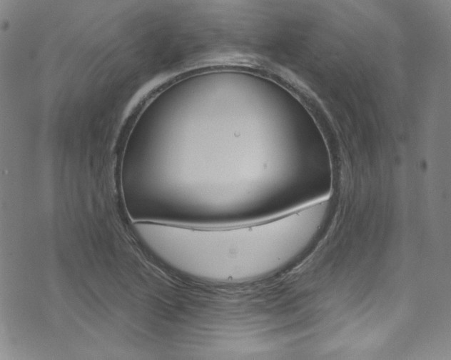 X0000075861222200609150947