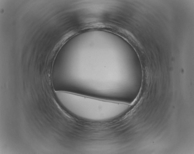 X0000075861225200609150947