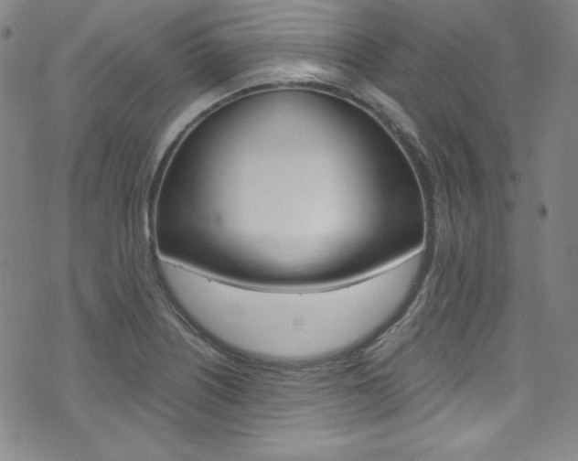 X0000075861226200609150947
