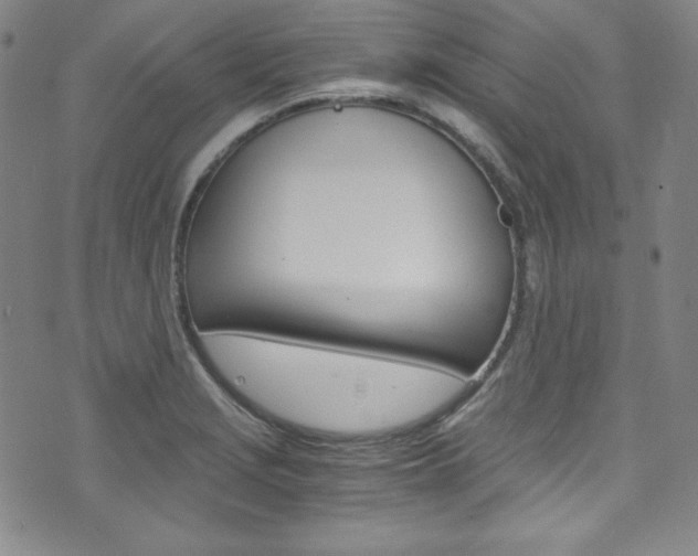 X0000075861229200609150947