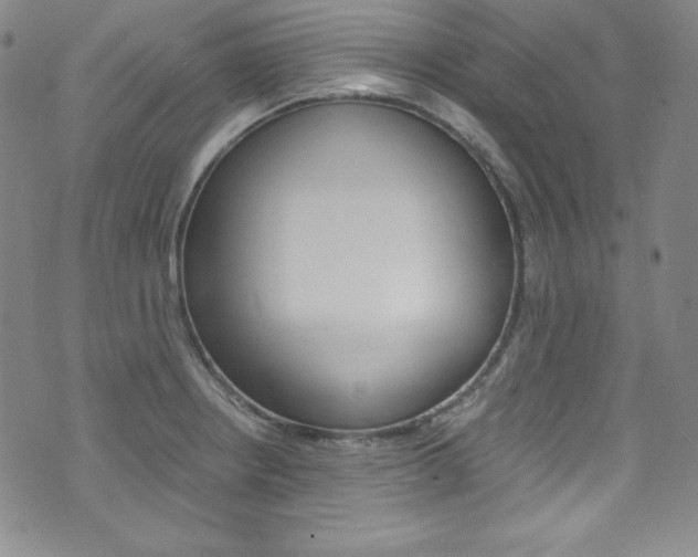 X0000075861234200609150947